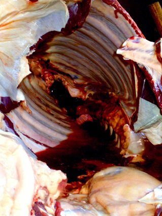 costillas 1