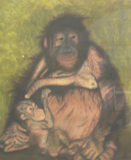 Maternidad Pastel Paper