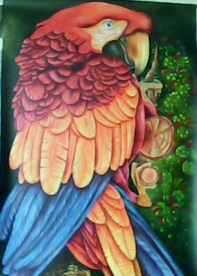 Guacamaya Oil Canvas Animals