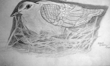 Portraits des animaux