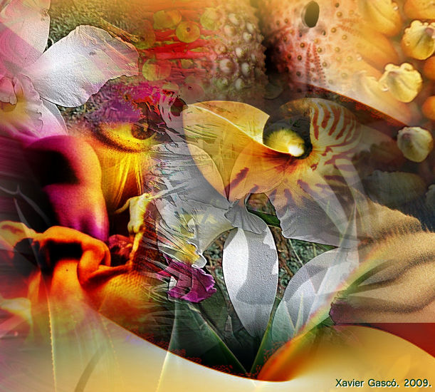 ENSUEÑOS Y TEXTURAS VEGETALES09.12 Naturaleza Color (Digital)