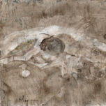 Osteografías thumbnail 1