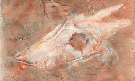 Osteografías