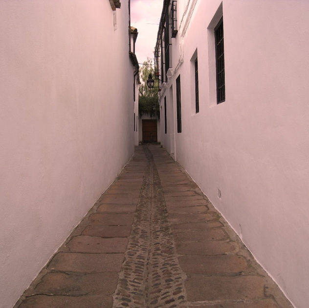 Sin salida