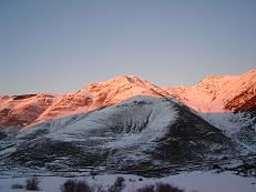 El rosa en la Nieve 