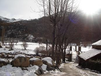 Bajo el sol 