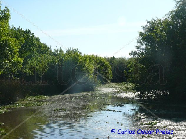ARROYO CRECIDO