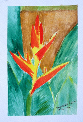 heliconia amarilla