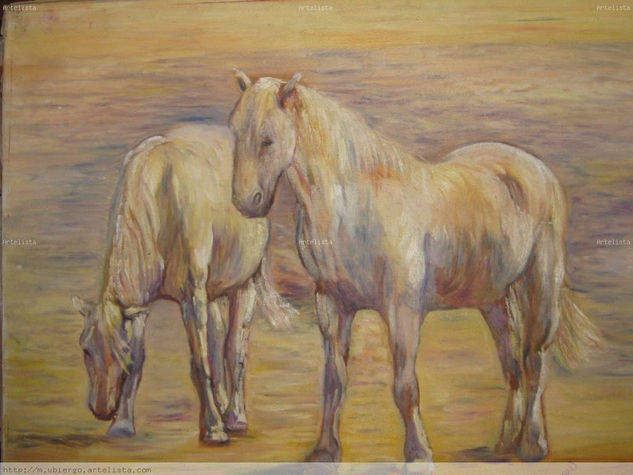 caballos Oil Canvas Animals