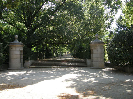 Jardin botanico