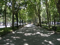 PASEO DEL PRADO