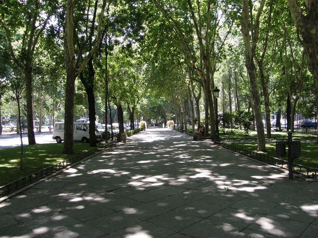 PASEO DEL PRADO 