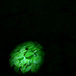Sabor y color thumbnail 1