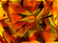 NET-CUBES IV