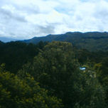fotos naturales thumbnail 2