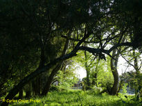 Monte en primavera