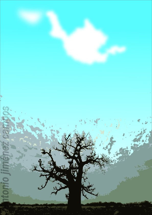la nube y el baobab