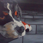 los perros y las emociones thumbnail 1