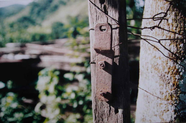 TESTIGO DEL PASADO Naturaleza Color (Química)