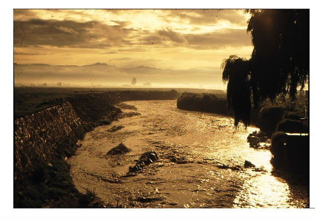 el dorado