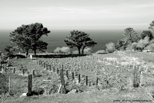 PAISAJE AL BORDE DEL AGUA 