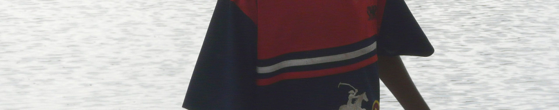 Imagen de portada