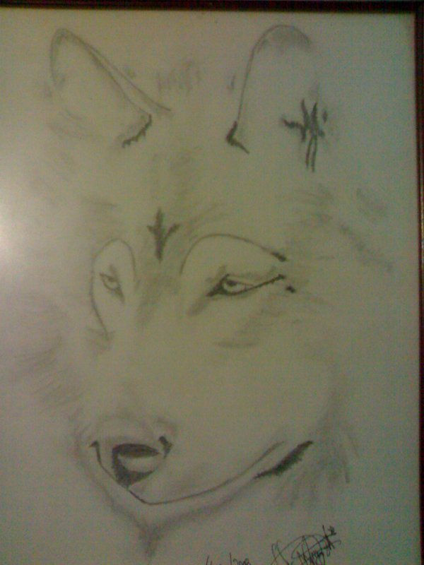 husky