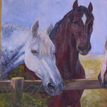 caballos thumbnail 2