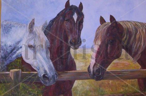 Caballos