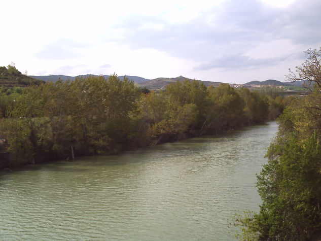 Puente La Reina desde el aire 