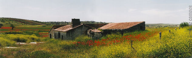 primavera de terciopelo 