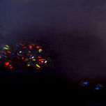 2009 thumbnail 1