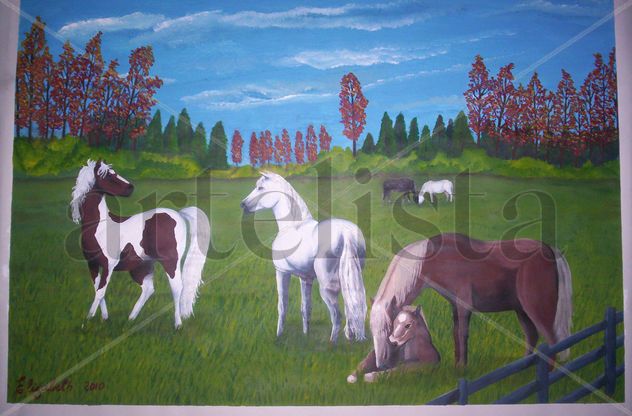 Campo