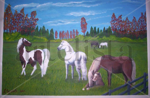 Campo Oil Canvas Landscaping