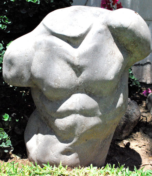 torzo