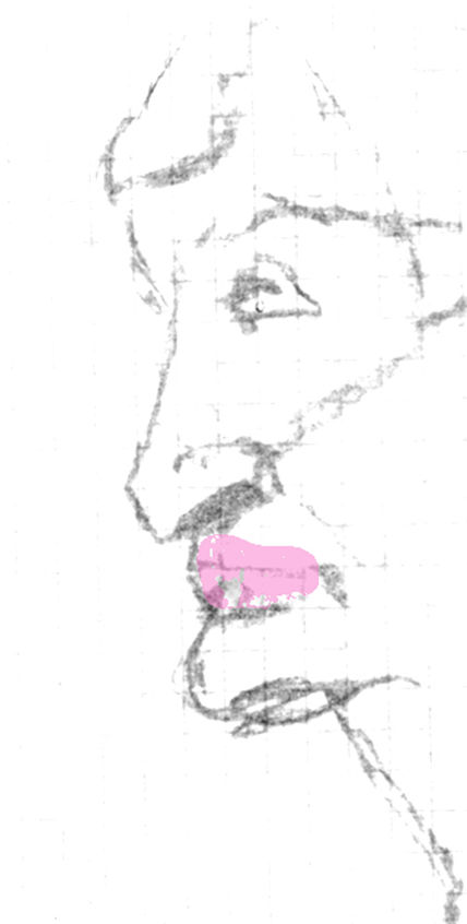 Cara5
