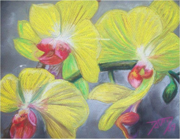 Orquideas