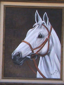 Palomo