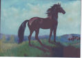 mustang