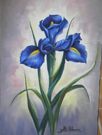 Iris azul