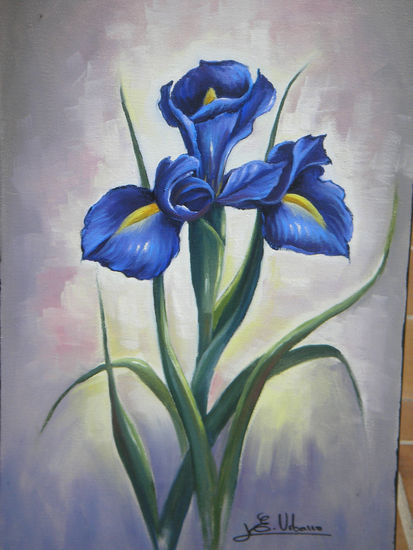 Iris azul 