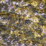 texturas acuosas thumbnail 1