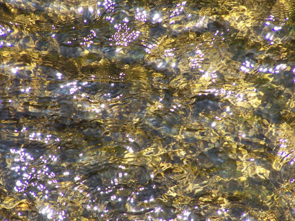 Reflejos