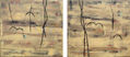 ¨MANGLARES-6¨