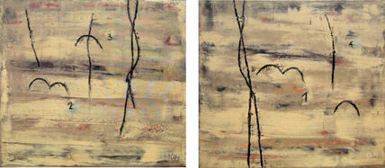 ¨manglares-6¨