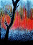 Bosque en llamas