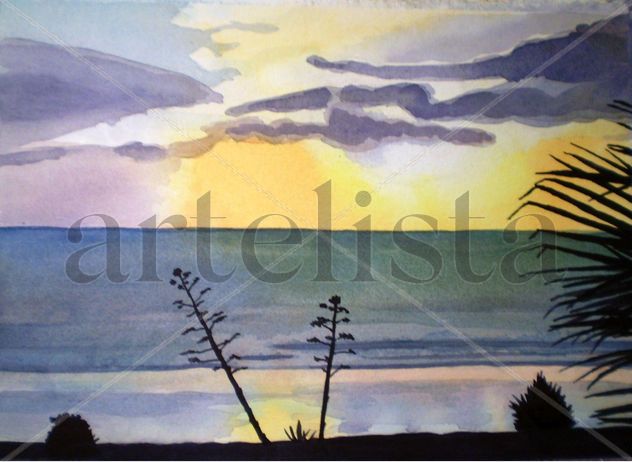 Atardecer en el Palmar