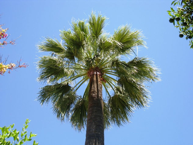 Oasis en la ciudad 