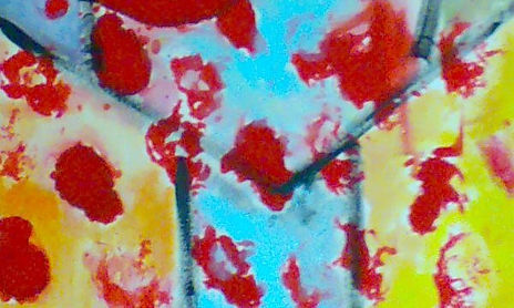 Pintura
