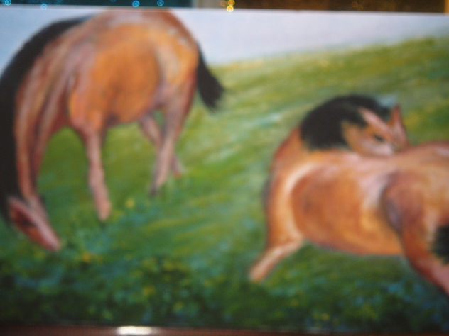 caballos